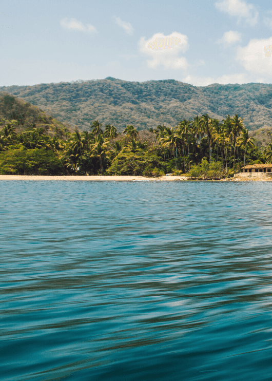 Mismaloya, where jungle meets the sea