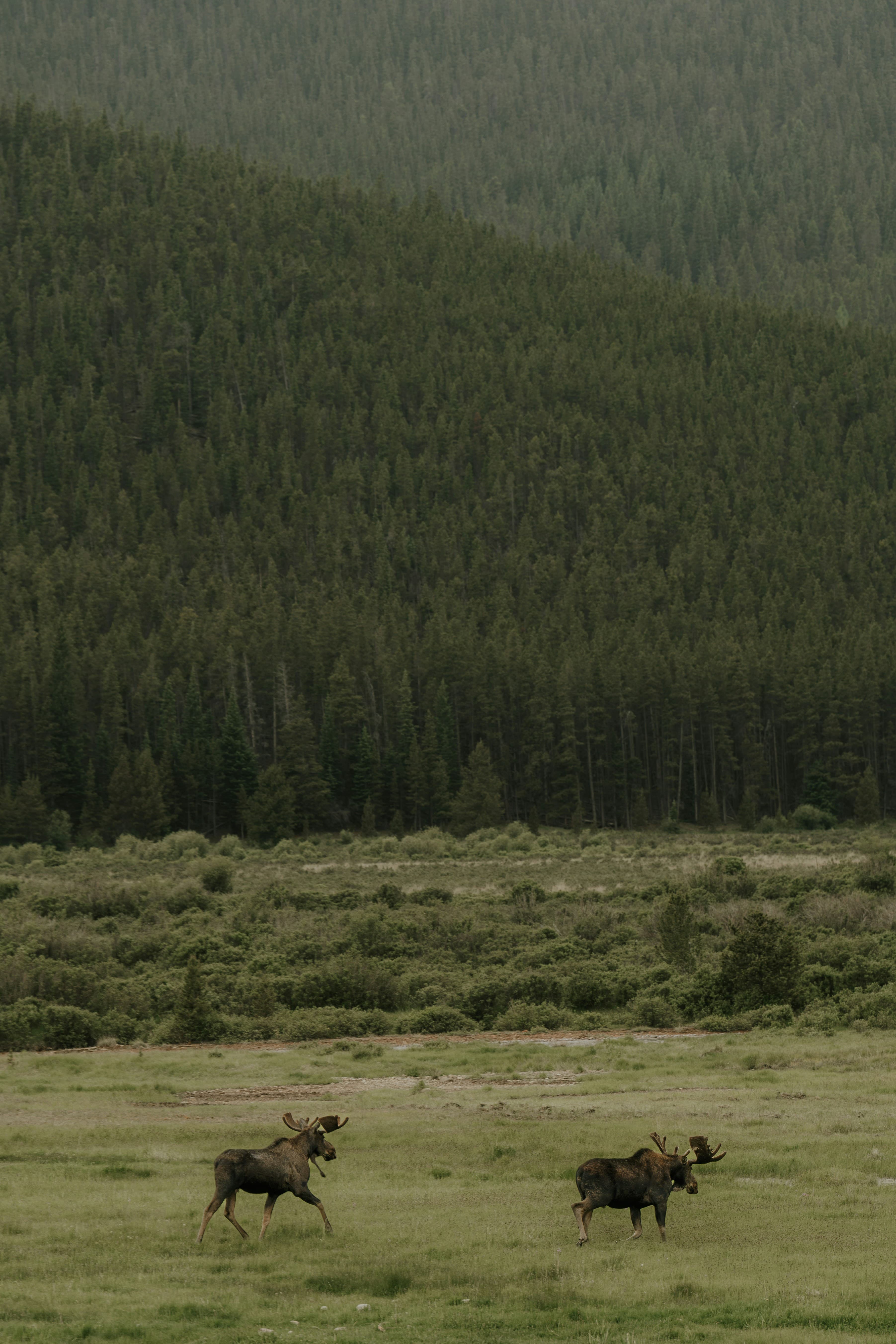 Enchanting Alpine Adventures Await: Our Vail and Beaver Creek Guide
